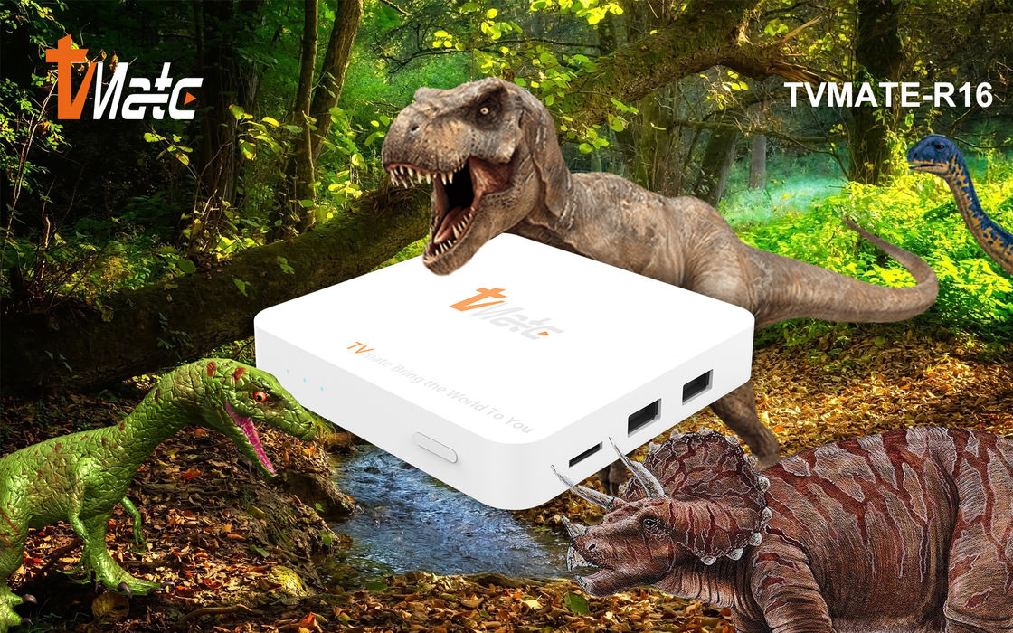 OTT Android TV Box Rockchip 322X Quad-Core Cortex-A7 fino a 1,5 GHz Smart TV Box Android